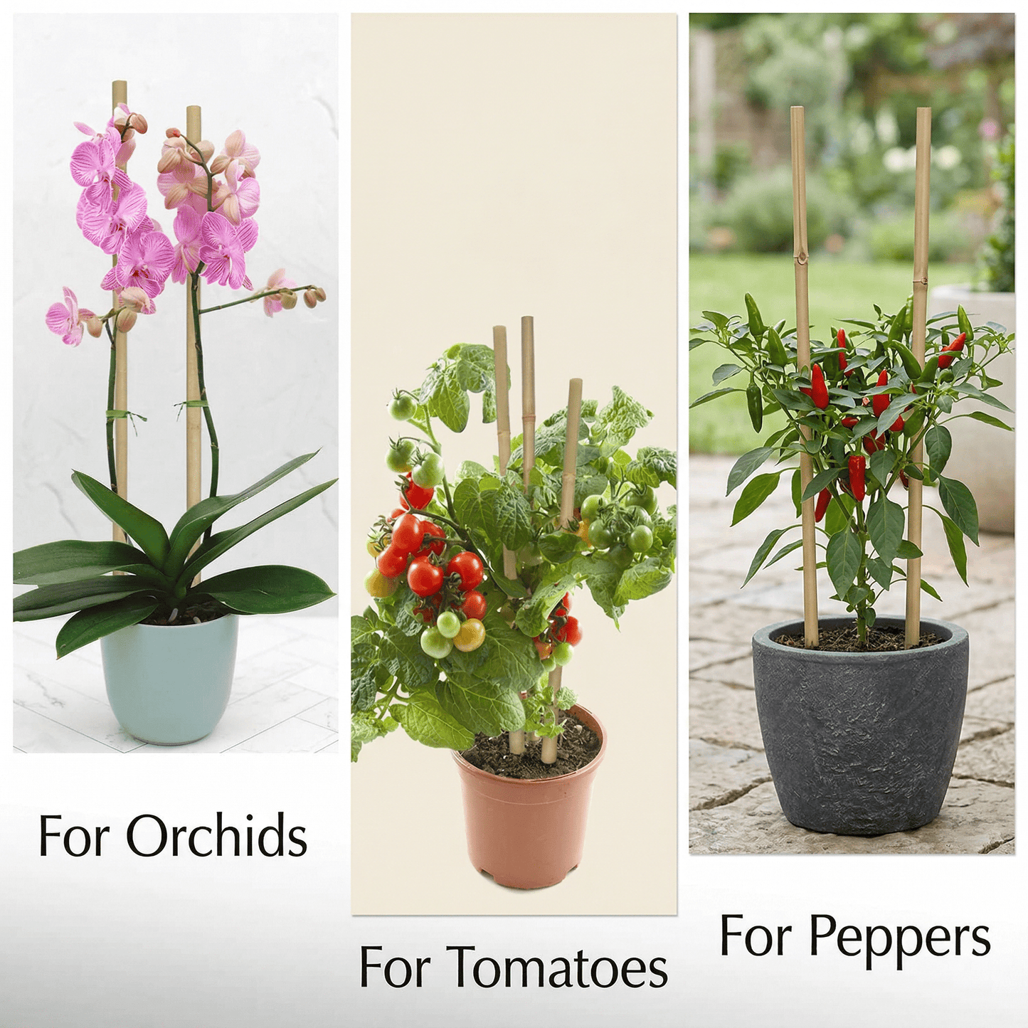 CNDRLEF Natural Bamboo Plant Stakes, 18 Inch Garden Support Sticks for Tomatoes, Orchids, Peppers & Potted Plants, 20 Pack with 20 Twist Ties