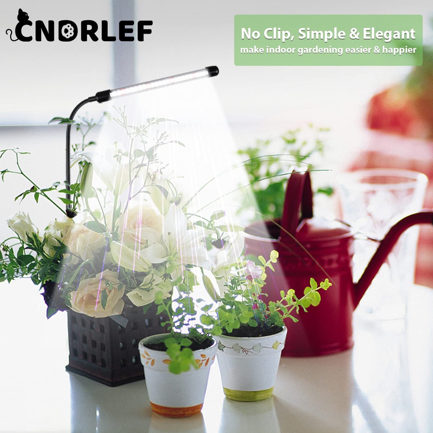 CNDRLEF 6000K Full Spectrum Grow Light for Indoor Plants, Gooseneck Plant Lamp with Auto On/Off Timer & 5 Dimming Modes