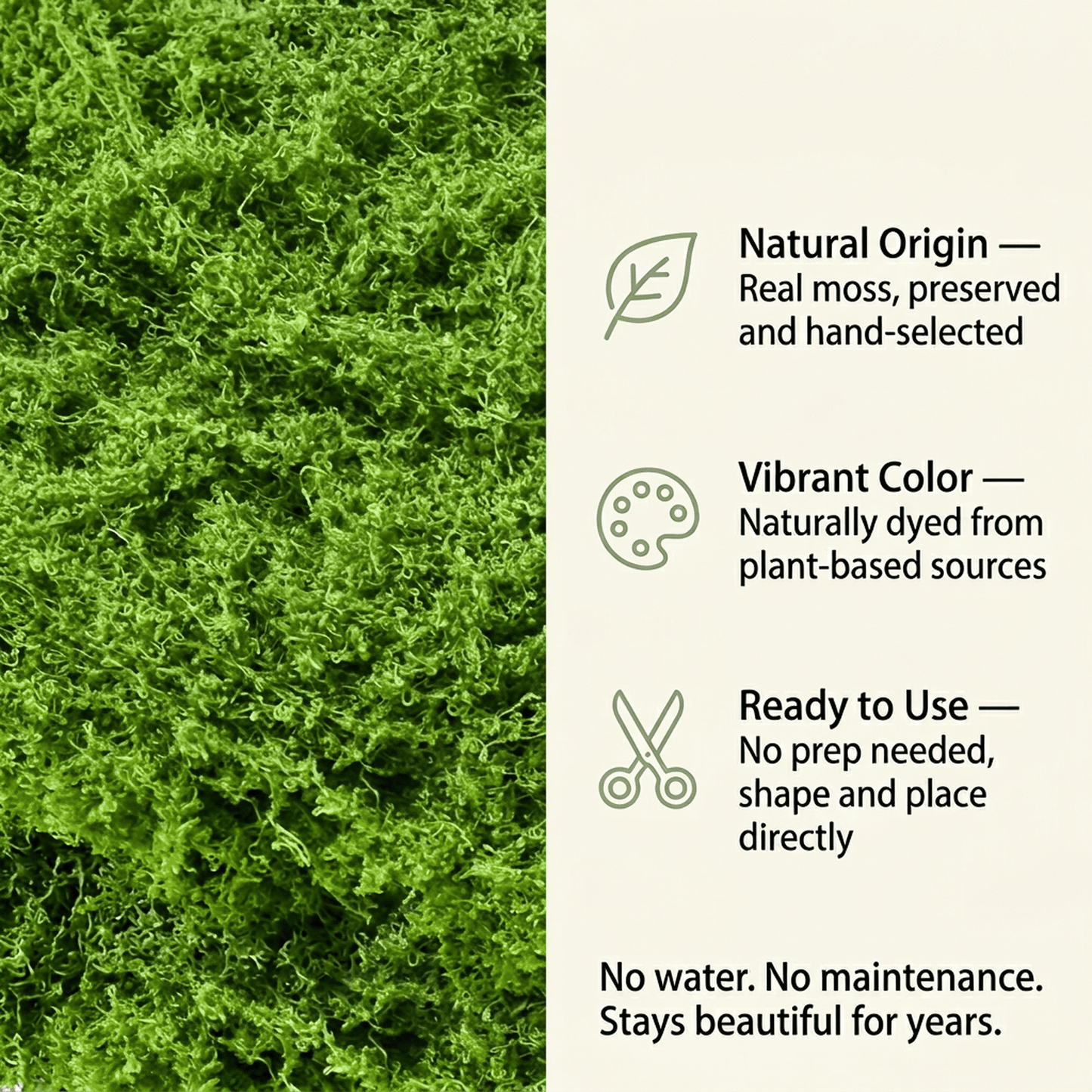 CNDRLEF Green Decorative Moss, 7 oz Loose Craft Moss for Planters, Potted Plants, Terrariums, Fairy Gardens, Centerpieces & DIY Decor
