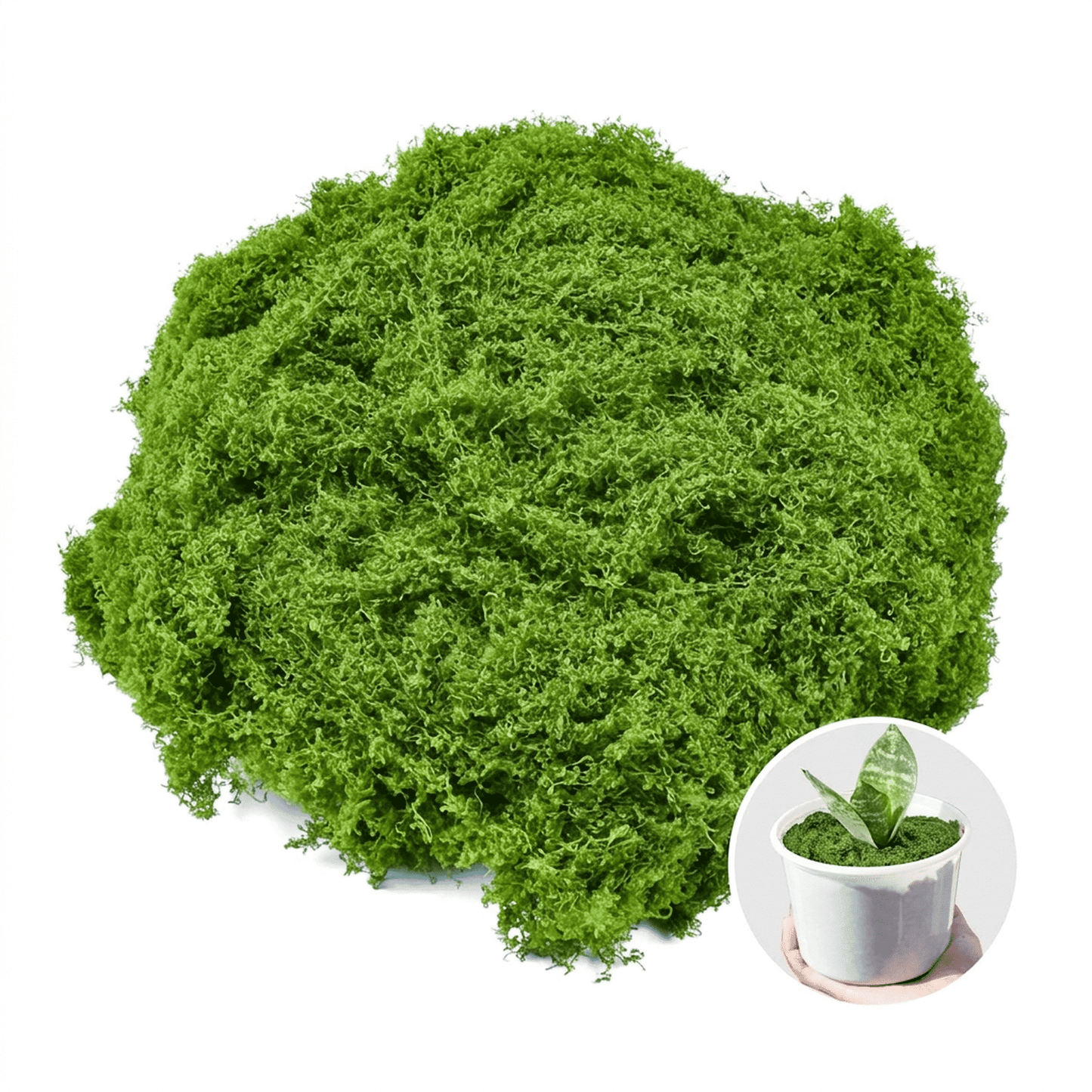 CNDRLEF Green Decorative Moss, 7 oz Loose Craft Moss for Planters, Potted Plants, Terrariums, Fairy Gardens, Centerpieces & DIY Decor