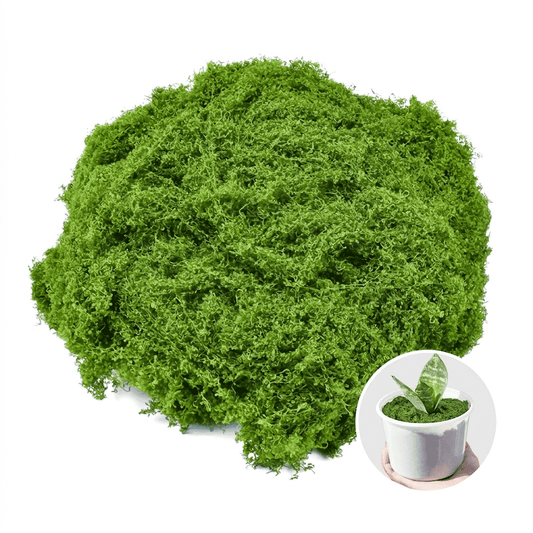 CNDRLEF Green Decorative Moss, 7 oz Loose Craft Moss for Planters, Potted Plants, Terrariums, Fairy Gardens, Centerpieces & DIY Decor