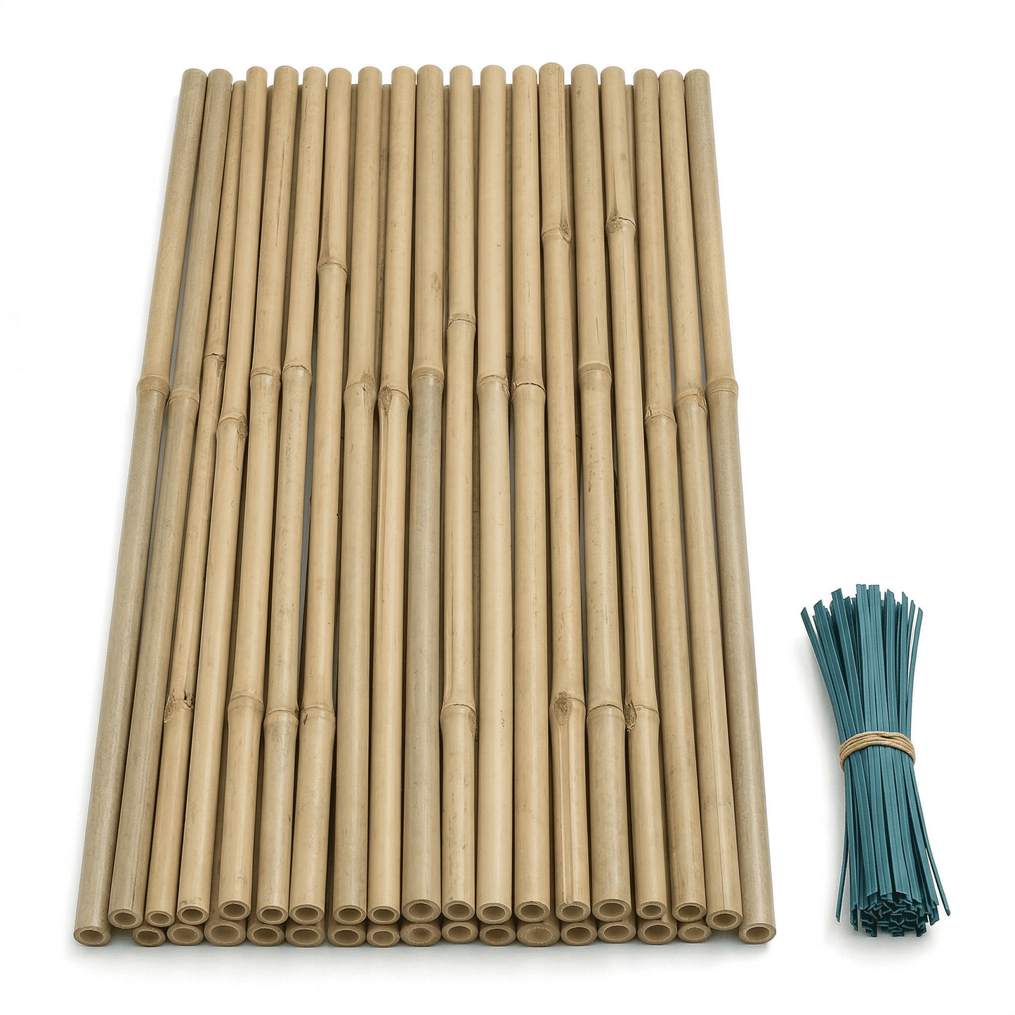 CNDRLEF Natural Bamboo Plant Stakes, 18 Inch Garden Support Sticks for Tomatoes, Orchids, Peppers & Potted Plants, 20 Pack with 20 Twist Ties